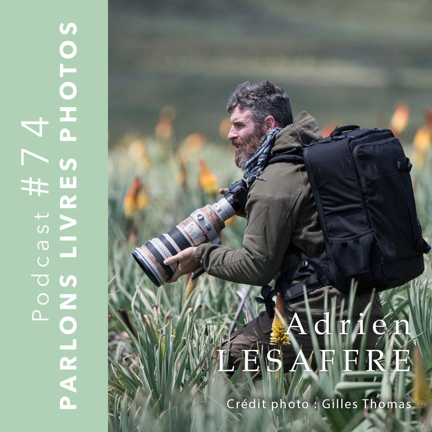 Adrien Lesaffre, photographe animalier, sur les traces du loup d'Abyssinie